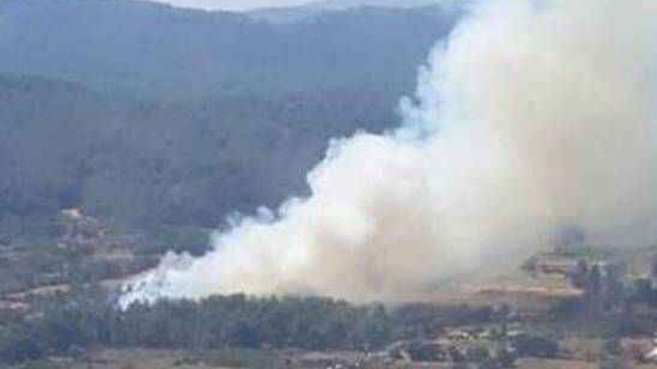 Muğla'da orman yangını
