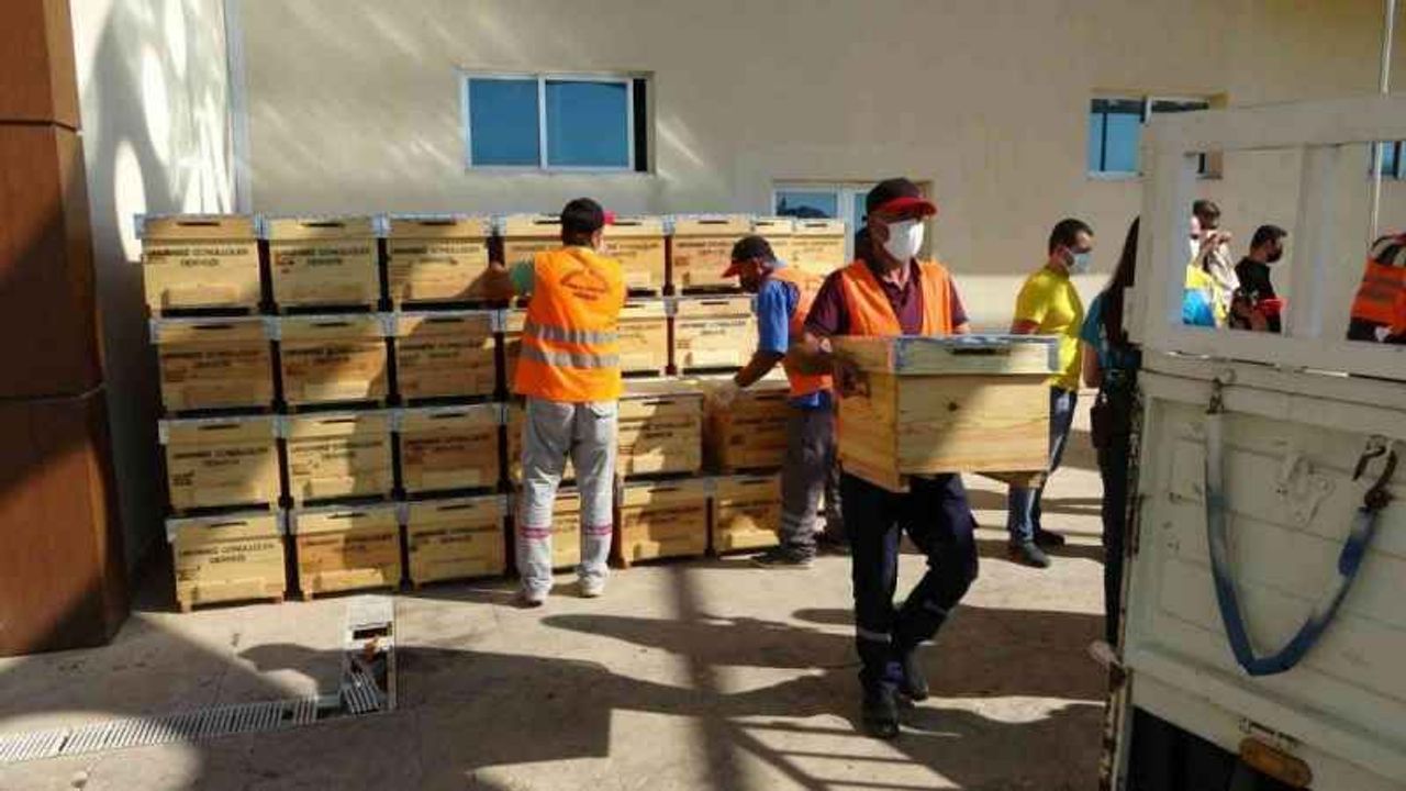 Space @ Kovan Son dakika: Yangınzede arıcılara 360 kovan desteği - Antalya Haber, Son ...