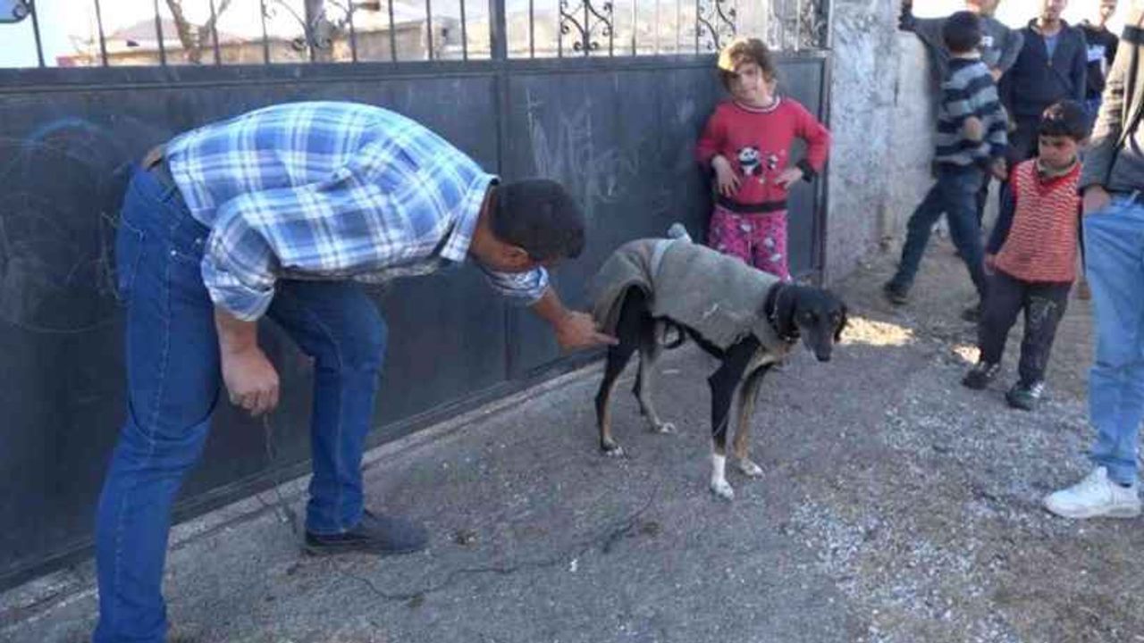 Köpek yumurtaları yedi, tüfek, taş ve sopalar konuştu! 3 yaralı