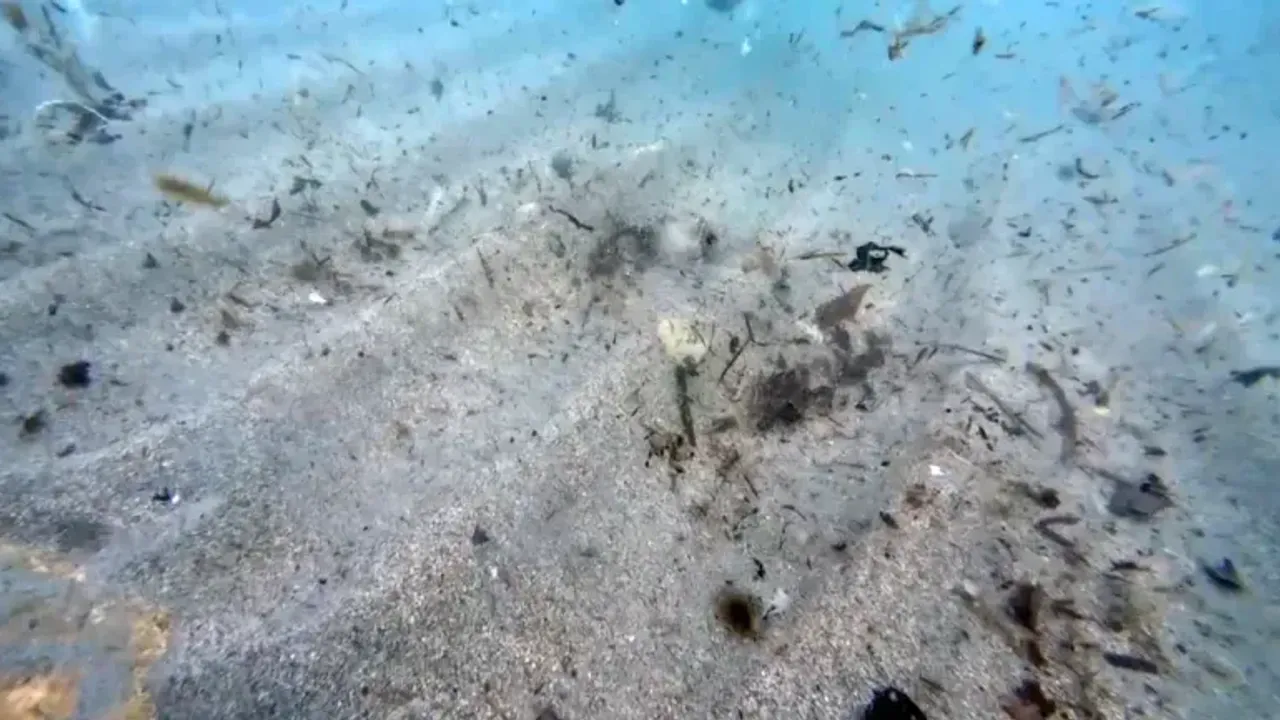 Görüntüler Alanya’dan! Mikroplastikler deniz ekosistemini tehdit ediyor 