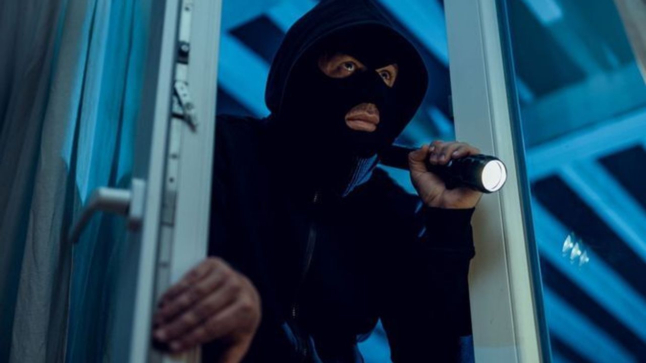 Suriyeli hırsız jandarmaya enselendi