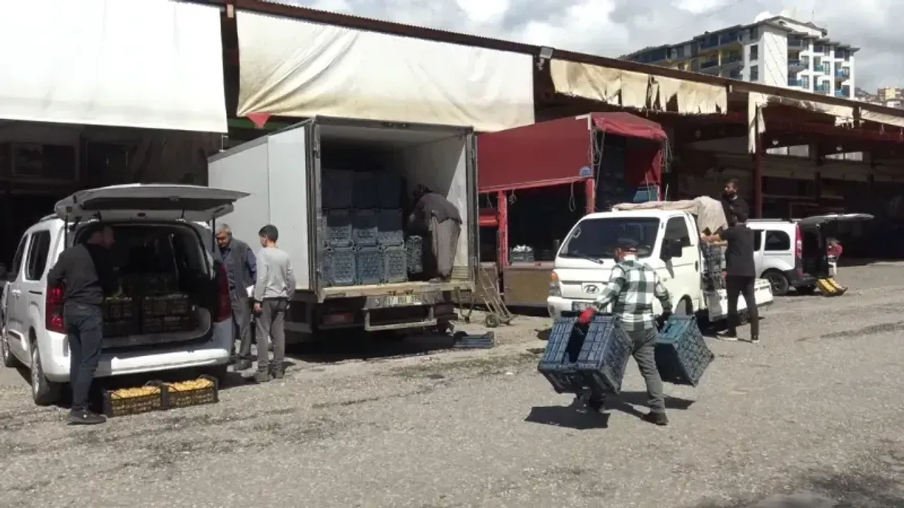 Tatil tarlayı vurdu