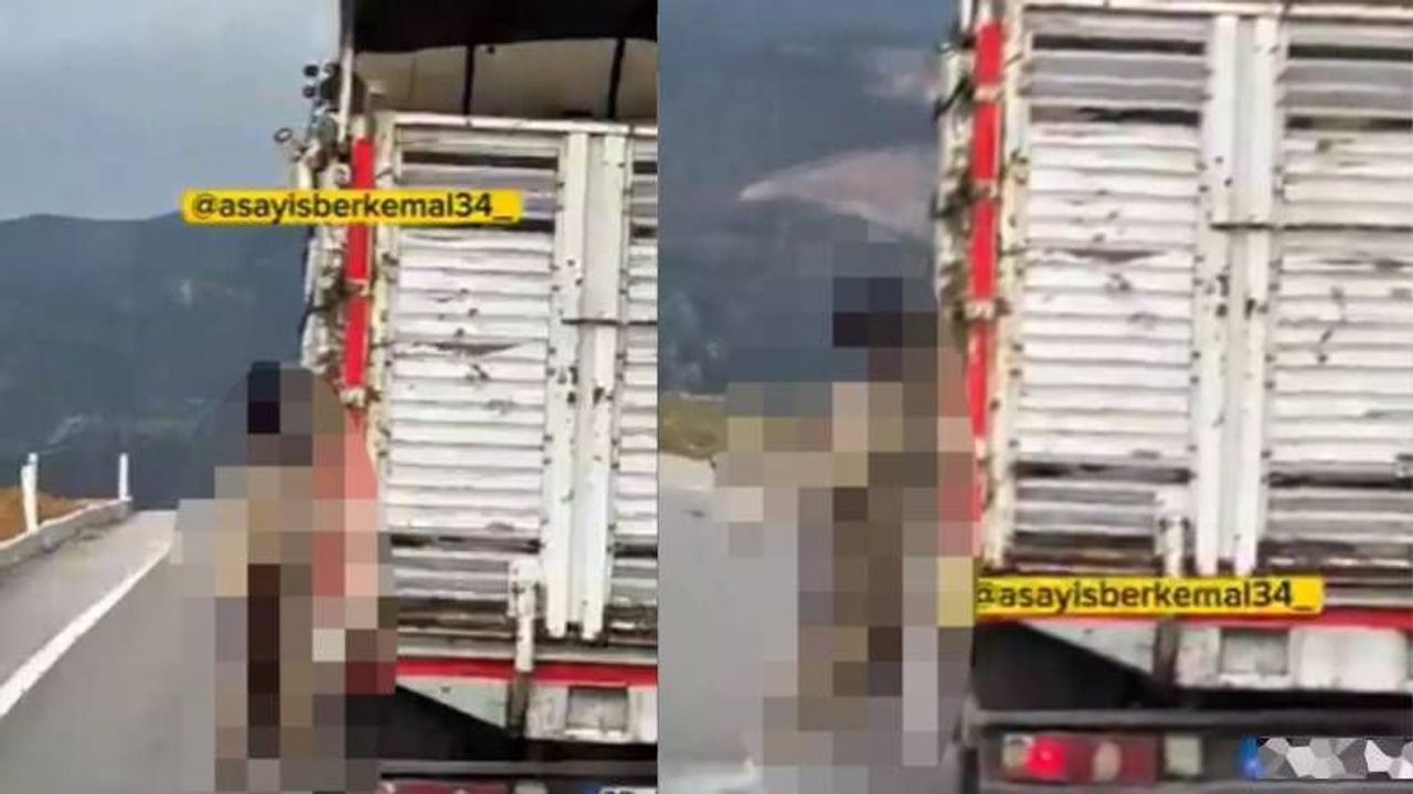 Korkunç görüntü: Bo*azından iple kamyona a*ıp götürdü