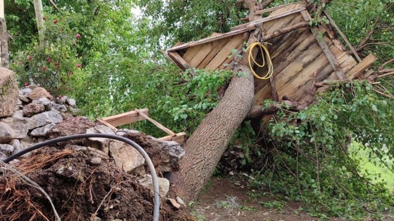 Fırtına çatıları uçurdu; seralar zarar gördü