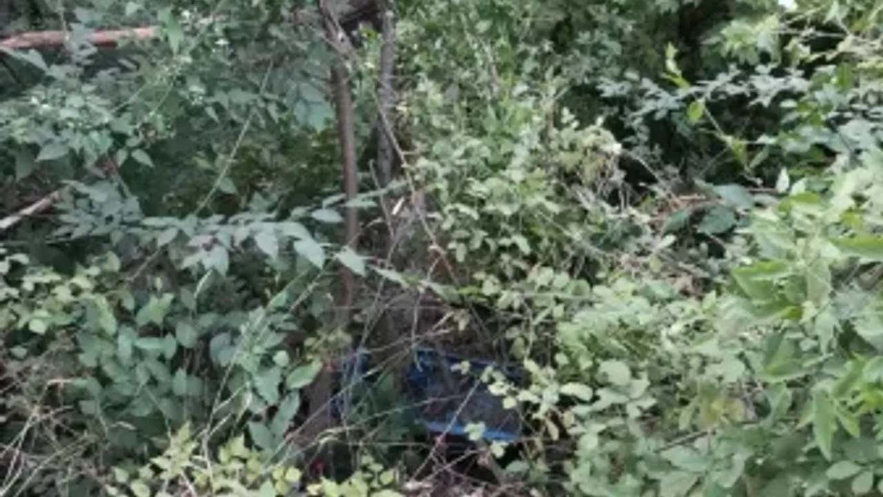 Şarampole yuvarlanan patpattaki 2 kişi yaralandı