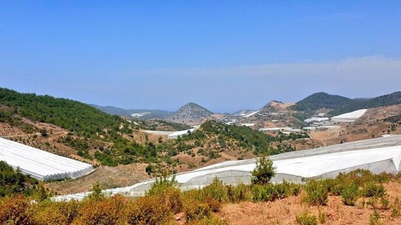 Doğu Alanya Kerbela'ya döndü