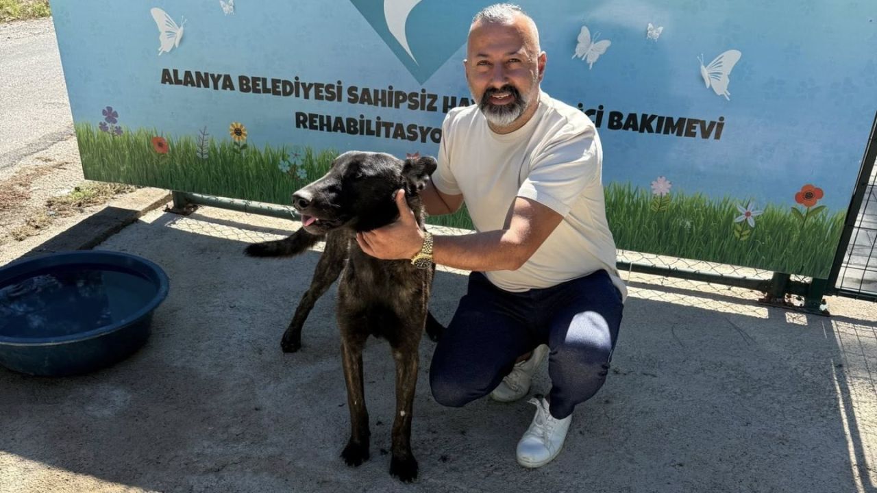 Alanya'da sahipsiz hayvan kalmayacak