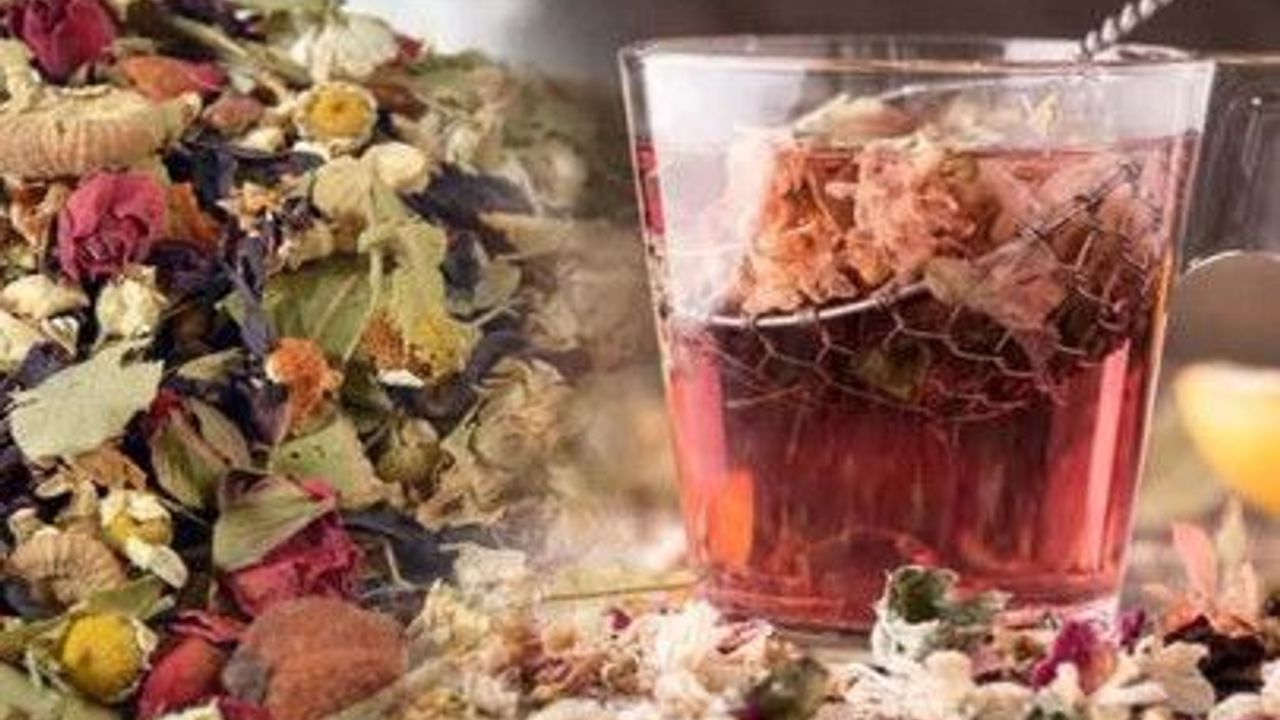 Alanya'da yeni tehlike: Yarardan çok zararı varmış