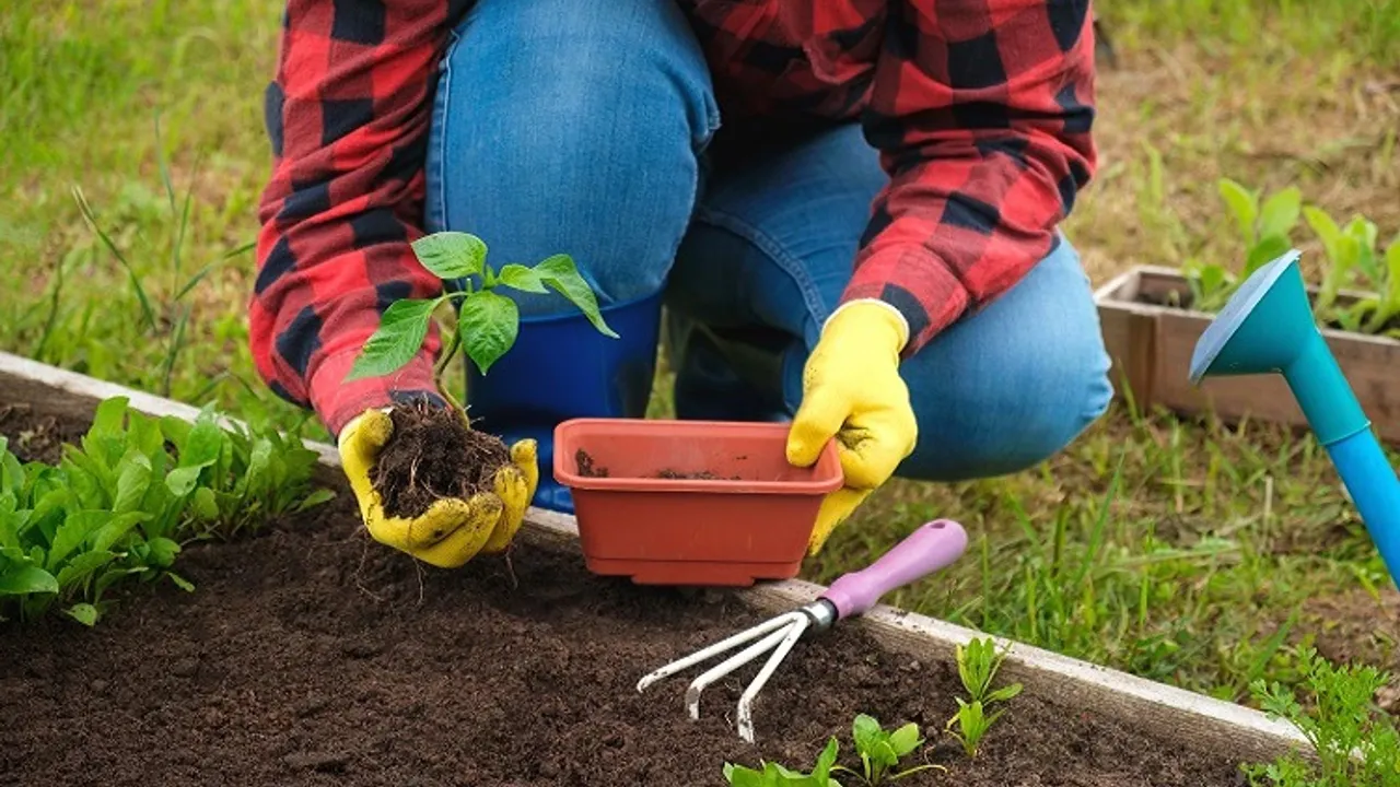 Fidan üretim malzemesi alınacak
