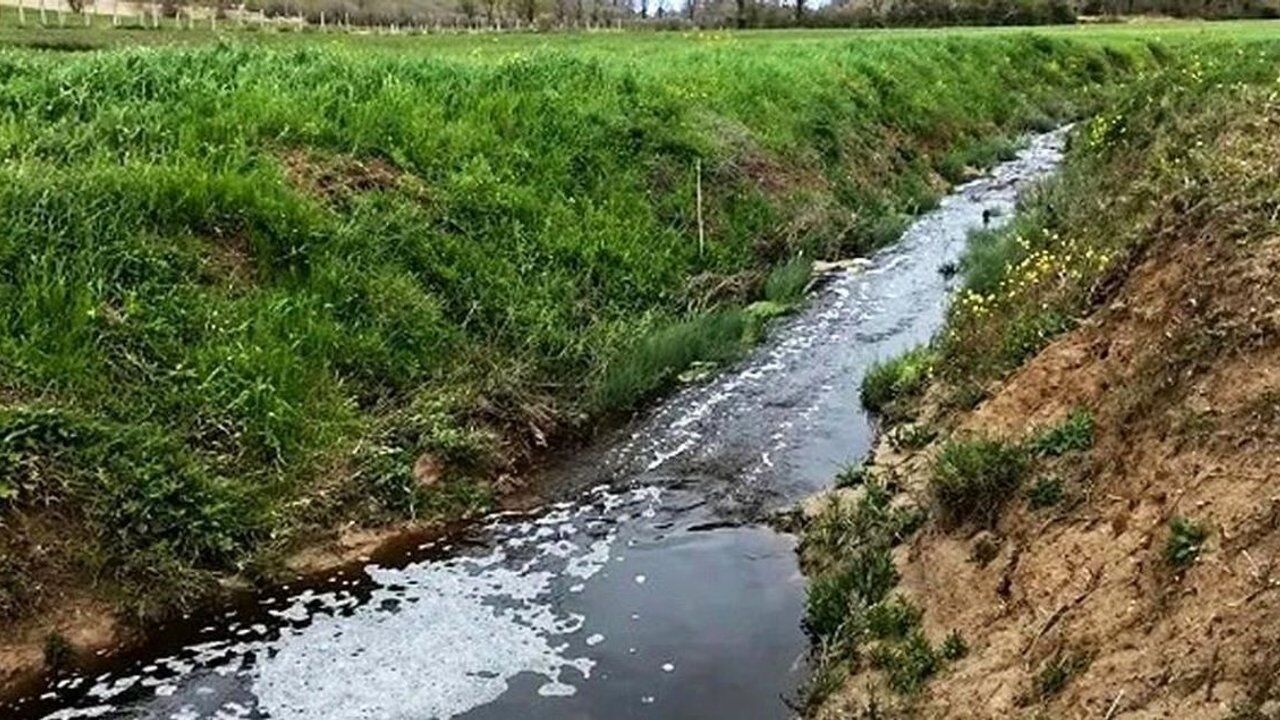 Sinop'ta atık tesisine 1.6 milyon lira çevre cezası kesildi