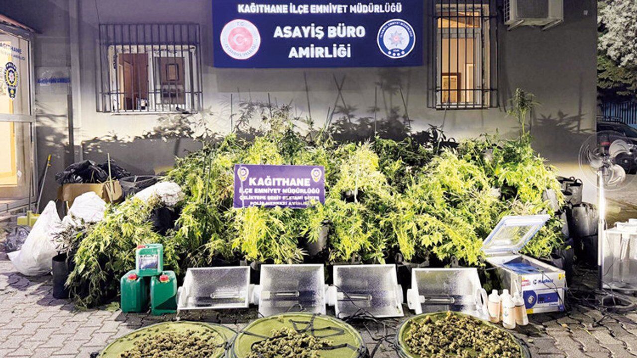 30 milyon liralık uyuşturucu serasına koku operasyonu