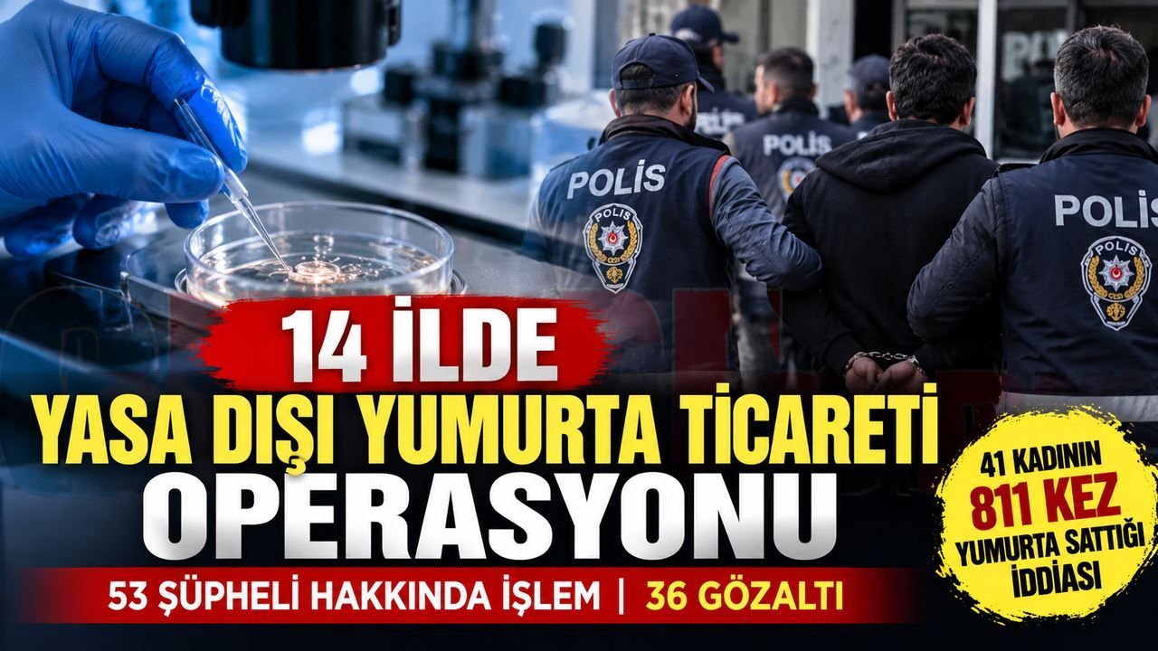 14 ilde yasa dışı yumurta ticareti operasyonu... 53 şüpheli hakkında işlem başlatıldı