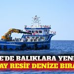 Finike açıklarında 50 yapay resif denize indirildi