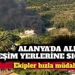 Alanya'da alevler yerleşim alanına yaklaştı! Ekipler hızla müdahale etti