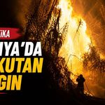 Son dakika - Alanya'da korkutan yangın