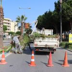 Alanya’nın yeşil dokusuna 7/24 bakım