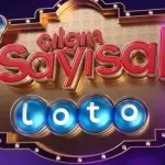 15 Ağustos 2026 Çılgın Sayısal Loto sonuçları açıklandı