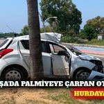 Gazipaşa'da otomobil palmiye ağacına çarptı: 1 yaralı