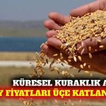 Kuraklık küresel buğday fiyatlarını üç katına çıkarabilir