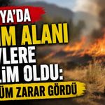 Alanya’da tarım alanı alevlere teslim oldu: 4 dönüm zarar gördü