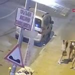 Antalya’da f*huş operasyonu: 14 kadın kurtarıldı