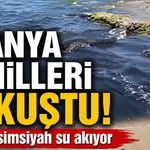 Alanya sahilleri kokuştu! Denize simsiyah su akıyor