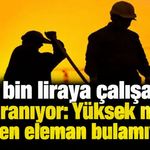 Antalya’da Kalifiye Eleman Açığı Sektörleri Zorluyor