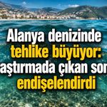 Alanya denizinde mikroplastik kirliliği endişe verici seviyede