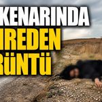 Yol Kenarında Kadın Cesedi Bulundu 2 Şüpheli Gözaltında