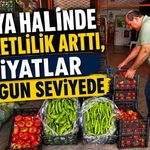 Alanya halinde hareketlilik arttı, fiyatlar uygun seviyede