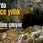 Alanya'da binlerce yıllık tarih gün yüzüne çıkıyor