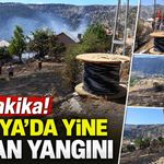 Son Dakika! Alanya'da yine orman yangını