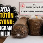 Antalya’da kaçak tütün operasyonu: 365 kilogram ele geçirildi