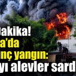 Son Dakika! Alanya'da korkunç yangın: Binayı alevler sardı