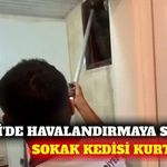 Cikcilli'de bacaya düşen sokak kedisi kurtarıldı