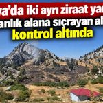 Alanya’da iki ayrı ziraat yangını: Ormanlık alana sıçrayan alevler kontrol altında