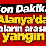 Son Dakika! Alanya'da villaların arasında yangın