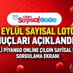 2 Eylül Sayısal Loto Sonuçları Açıklandı mı? Milli Piyango Online Çılgın Sayısal Loto Sorgulama Ekranı