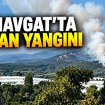 Manavgat'taki orman yangını bir saatte kontrol altına alındı