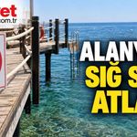 Alanya'da iskeleden sığ suya atlayan tatilci hayatını kaybetti