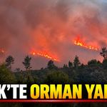 Serik'teki orman yangınında gece boyunca müdahale sürdü