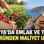 Alanya'da emlak ve tarım sektöründen maliyet uyarısı