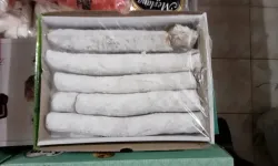 Toroslar’ın zirvesinde bir zaman kapsülü