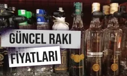 2026 rakı fiyatları: Yeni Rakı, Efe Rakı, Kulüp Rakı, Tekirdağ Rakı, 35'lik, 50'lik, 70'lik ve 100'lük rakı fiyatları