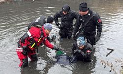 Günlerdir kayıp olarak aranan Türkçe öğretmeninin cansız bedeni bulundu