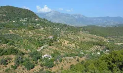 Alanyalı mülk sahipleri dikkat! Tapu sınırları sil baştan güncelleniyor