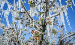 Antalya Valiliği'nden son dakika afet uyarısı