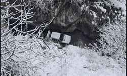 Kontrolden çıkan otomobil çaya düştü