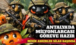 Antalya'da milyonlarca minik asker göreve başladı