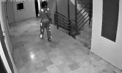 Akıllara zarar olay: Kurye siparişini getirirken tuvaletini yaptı!